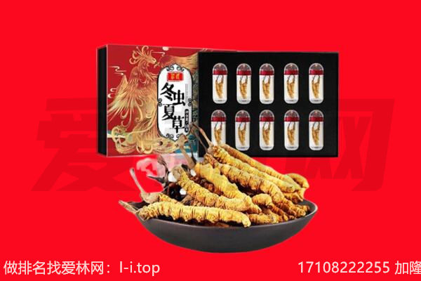 佛山市南海回收虫草.jpg